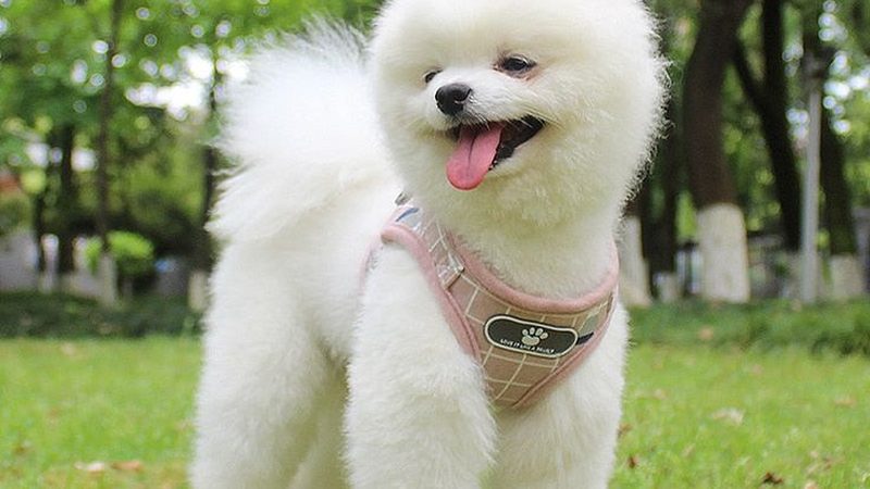 暖通图纸审查的五大关键步骤，确保工程品质